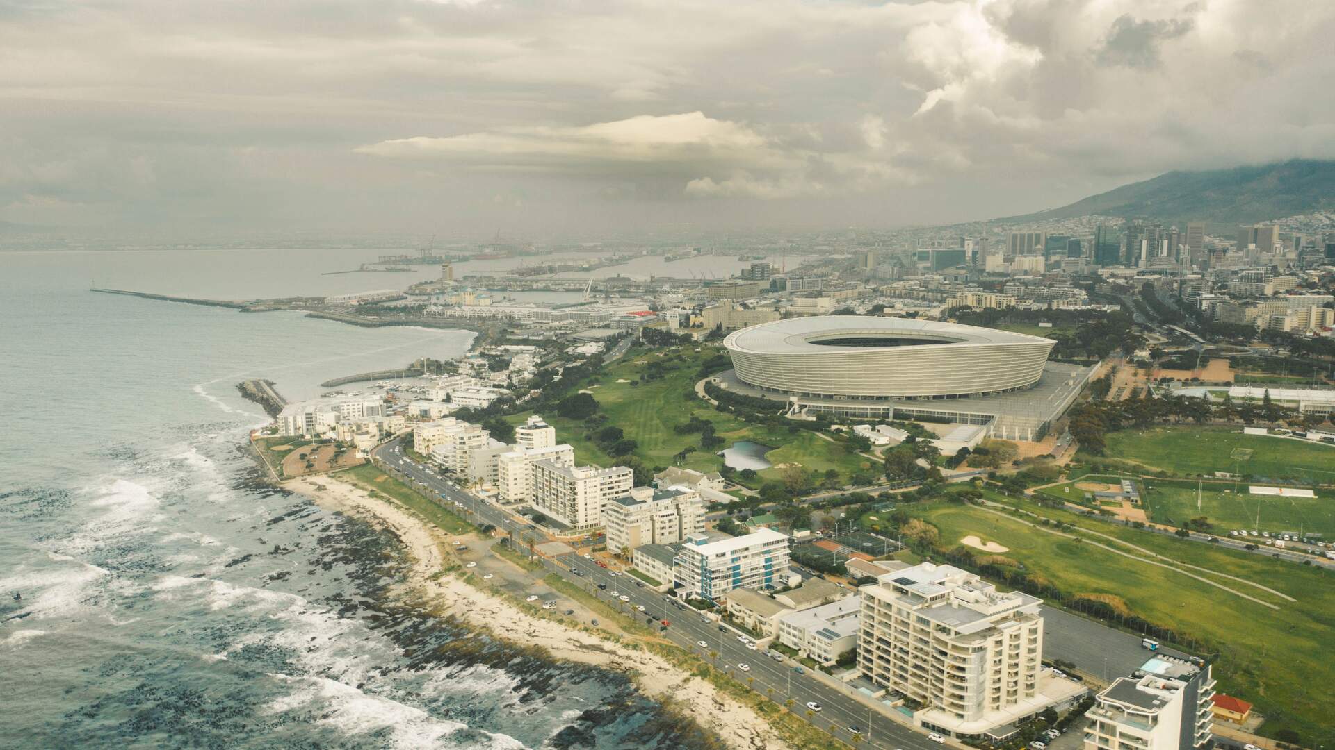 Pest control in Cape Town