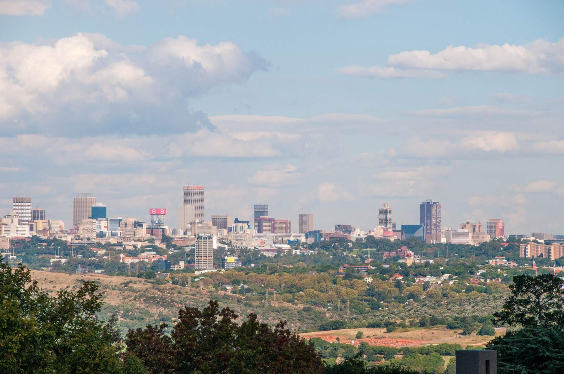 Pest control in Roodepoort
