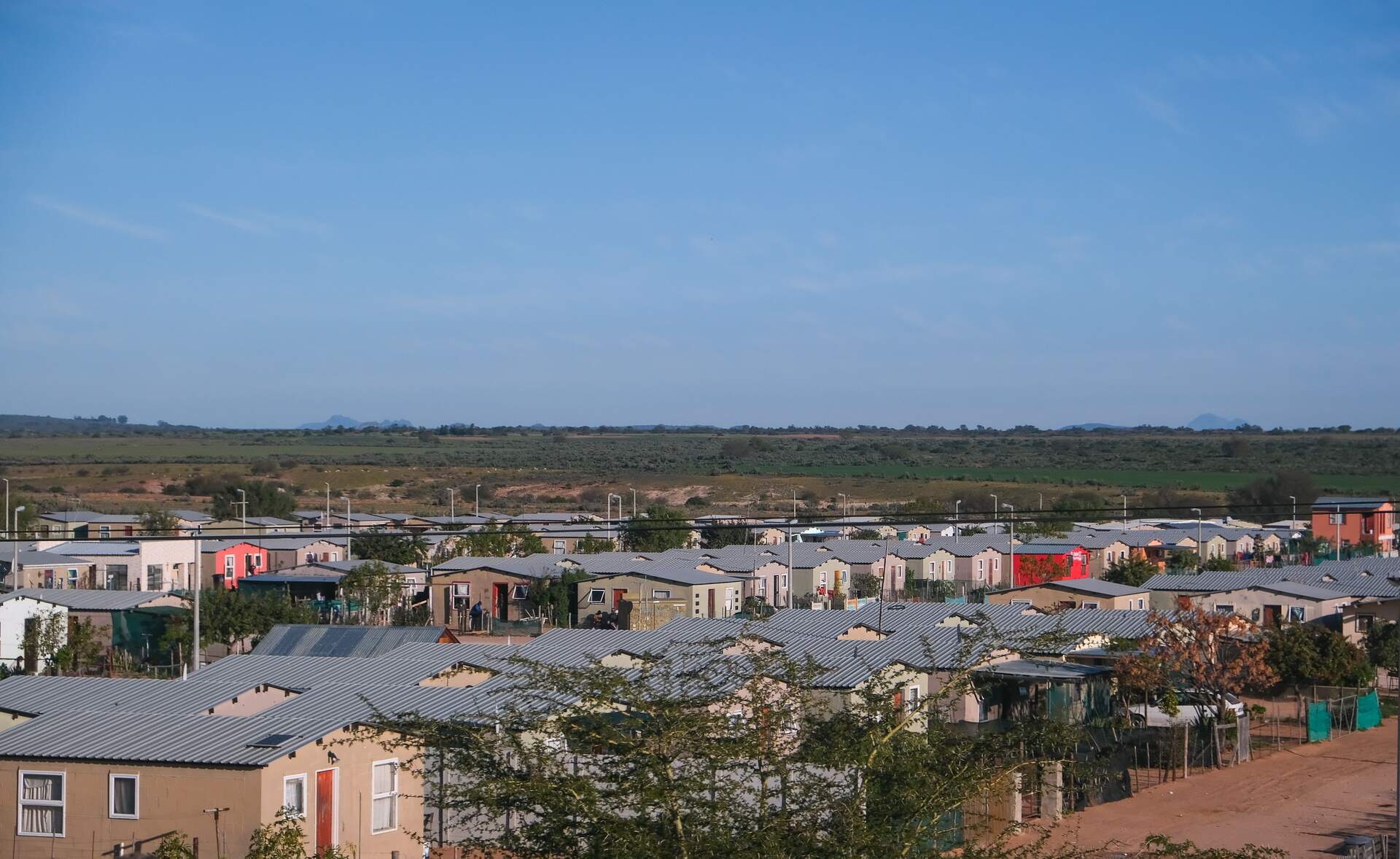 Pest control in Mahikeng