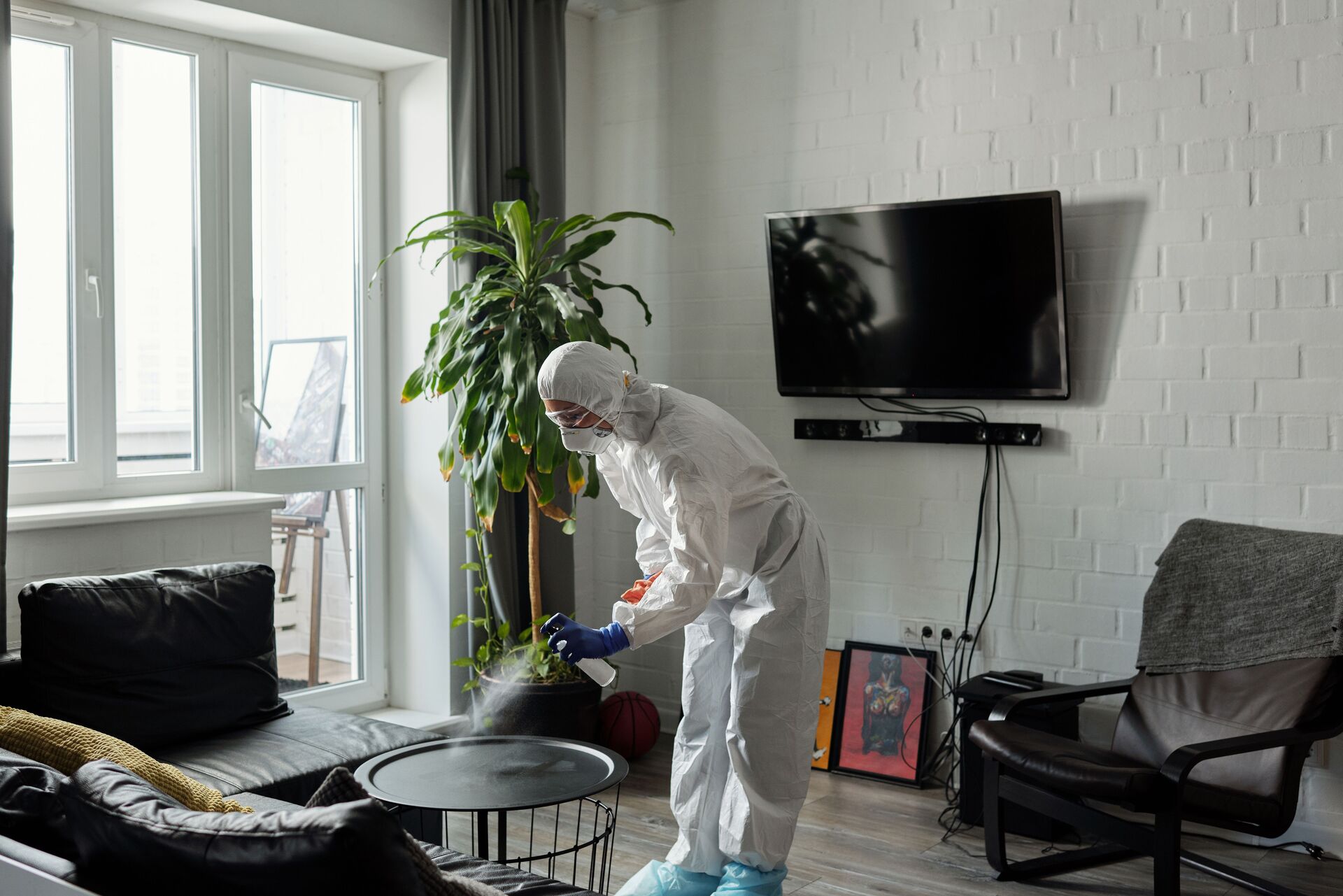Pest control technician spraying a treatment